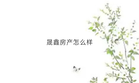 晟鑫房产怎么样(晟鑫实业有限公司)