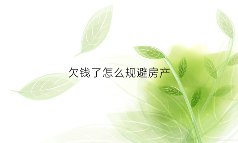 欠钱了怎么规避房产(欠钱怎么保住房子)