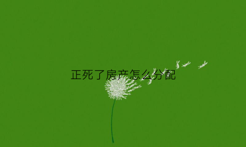 正死了房产怎么分配(死了以后房子属于谁)