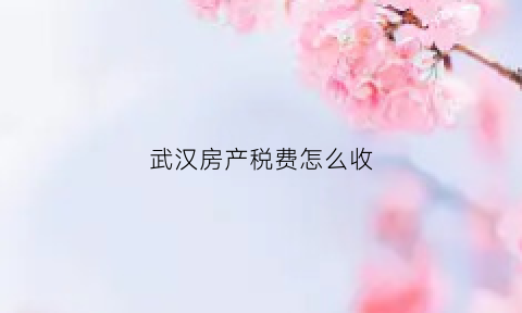 武汉房产税费怎么收(武汉房产税费表)