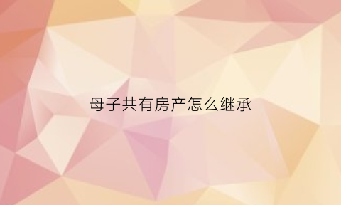 母子共有房产怎么继承(母子共有房产怎么继承子女)