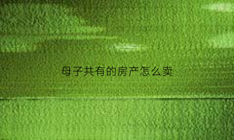 母子共有的房产怎么卖(母子共有产权)