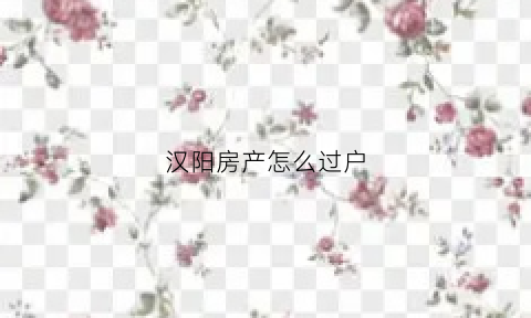 汉阳房产怎么过户(汉阳房产过户在哪里办)