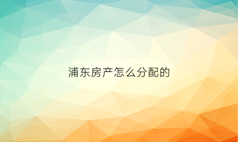 浦东房产怎么分配的(上海浦东区房源)
