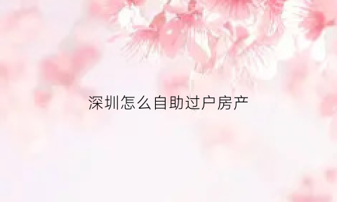 深圳怎么自助过户房产(深圳怎么自助过户房产证)