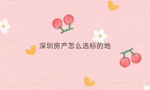 深圳房产怎么选标的地(深圳选房流程)