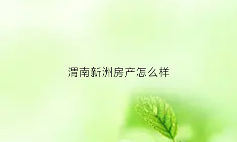 渭南新洲房产怎么样(渭南新洲国际租房)