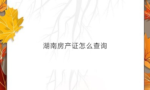 湖南房产证怎么查询(湖南省查房产证用什么网站)