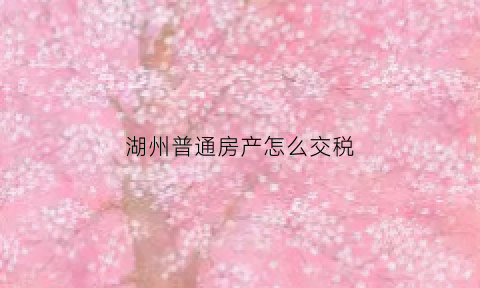 湖州普通房产怎么交税