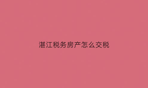 湛江税务房产怎么交税