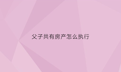 父子共有房产怎么执行(父子共有房产能强制执行吗)