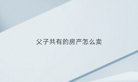 父子共有的房产怎么卖(父子共有产权房产如何过户给儿子)