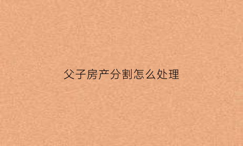 父子房产分割怎么处理(父子房产继承最新政策)