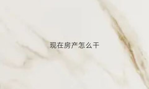 现在房产怎么干(房产怎么做才能做好)