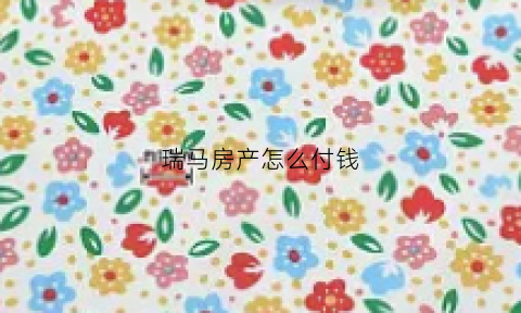 瑞马房产怎么付钱(瑞马地产招聘)
