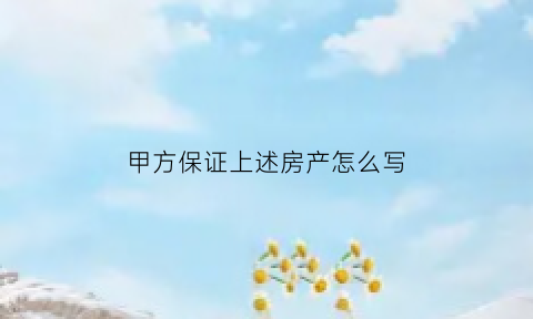 甲方保证上述房产怎么写(甲方保证上述房产怎么写范文)