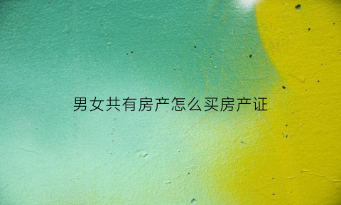 男女共有房产怎么买房产证(男女朋友共有房产)