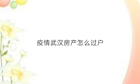 疫情武汉房产怎么过户(疫情武汉房产怎么过户给别人)