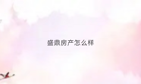盛鼎房产怎么样(盛鼎集团有限公司)