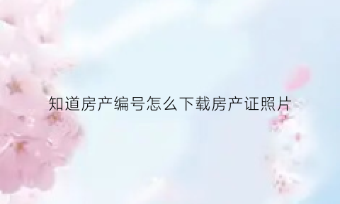 知道房产编号怎么下载房产证照片(如何通过房产证号查询房产信息)