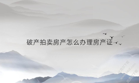破产拍卖房产怎么办理房产证(破产拍卖房产怎么办理房产证手续)