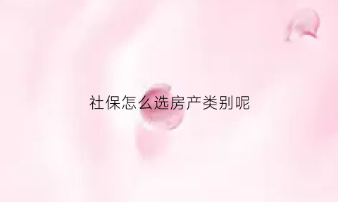 社保怎么选房产类别呢