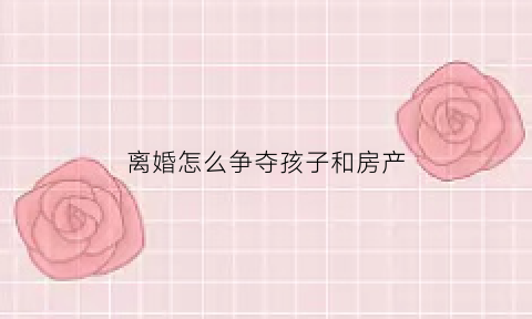 离婚怎么争夺孩子和房产(离婚怎么争夺孩子和房产权)