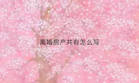离婚房产共有怎么写(离婚房产怎么写协议)
