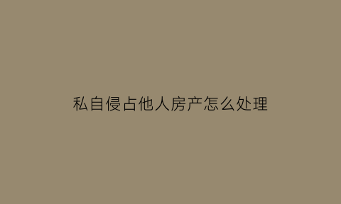 私自侵占他人房产怎么处理(私自侵占他人财产强占民宅)