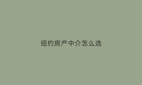纽约房产中介怎么选(纽约租房中介推荐)