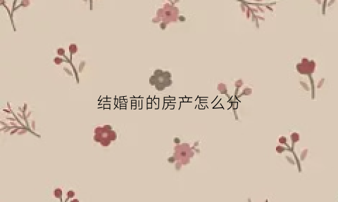 结婚前的房产怎么分