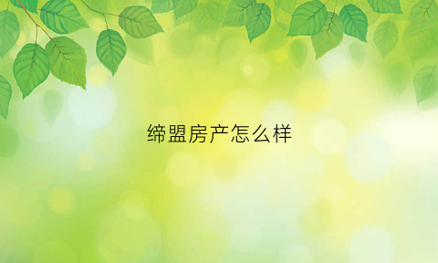 缔盟房产怎么样(深圳市缔盟软件有限公司是培训机构吗)