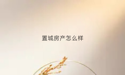 置城房产怎么样(置城国际地址)