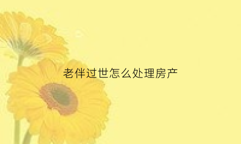 老伴过世怎么处理房产(老伴过世怎么处理房产过户)