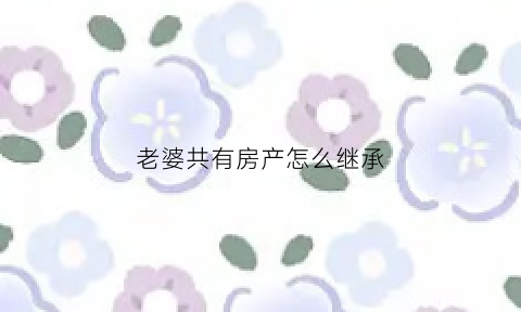 老婆共有房产怎么继承(老婆共有房产怎么继承给孩子)