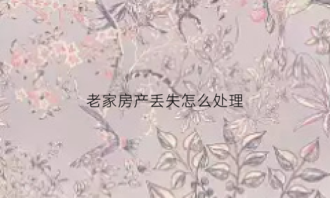 老家房产丢失怎么处理(老家房产丢失怎么处理最好)