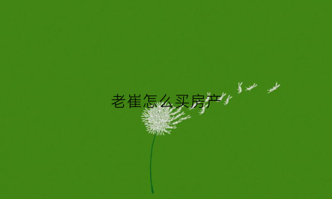 老崔怎么买房产(老崔怎么买夜店)
