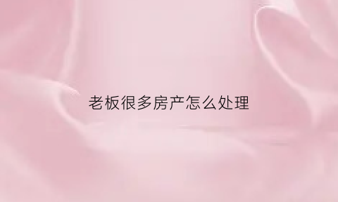 老板很多房产怎么处理(老板的房子)