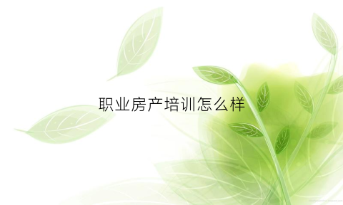 职业房产培训怎么样(房产培训师的职业描述)