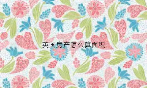 英国房产怎么算面积(英国房产怎么算面积的)