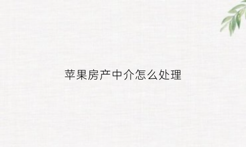 苹果房产中介怎么处理(苹果房产中介怎么样)