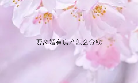 要离婚有房产怎么分钱(我想离婚房产怎么分)