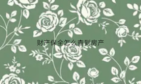财产保全怎么查到房产(财产保全怎么查对方财产)