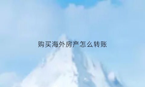 购买海外房产怎么转账(海外购房钱怎么汇出)