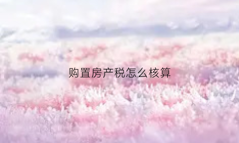 购置房产税怎么核算