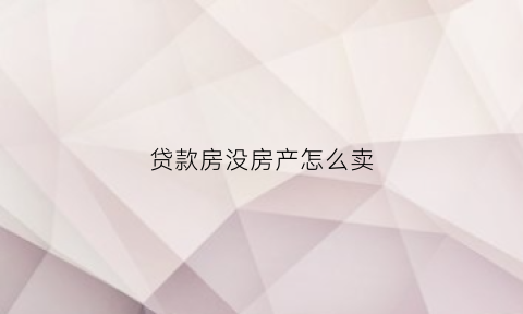 贷款房没房产怎么卖(贷款房没有房照可以卖么)