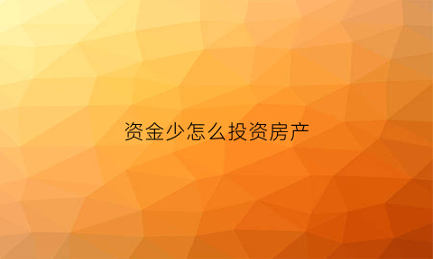资金少怎么投资房产(资金少可以做什么生意)
