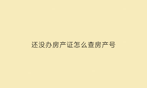 还没办房产证怎么查房产号(没办房产证怎么查房产号呢)