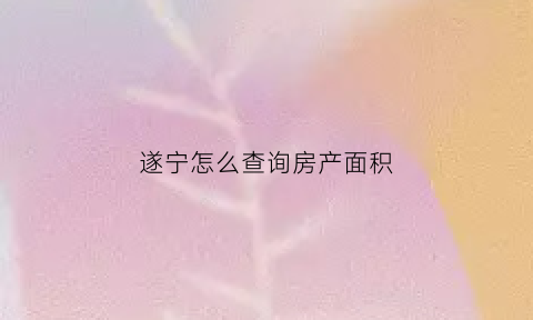 遂宁怎么查询房产面积(遂宁房屋备案查询系统)