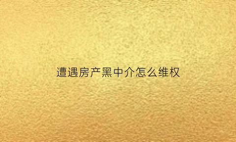 遭遇房产黑中介怎么维权(对于房产黑中介有什么办法)